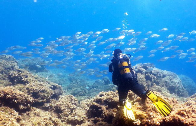 Immersioni subacquee per principianti ed esperti a Pefkos Lindos - Foto 1