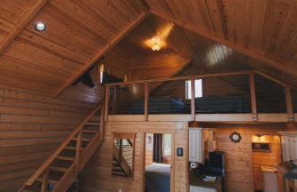 Denali Wild Stay - Bear Cabin with Hot Tub and Free Wifi, Private, sleep 6 - Foto 3