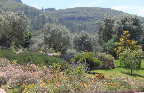 Quinta de São João - Foto 8