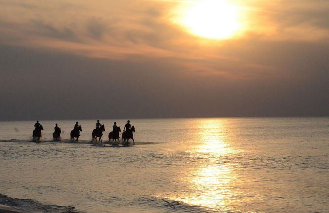 Holiday Home in Poland Near Baltic Beach - Photo 28