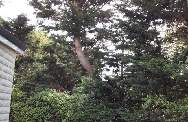 Charming Chalet in the Midst of Nature - Foto 17