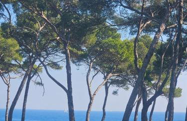 La Paillote JD28 - Bord de mer - Foto 29