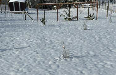 Villa Međimurka - Foto 27