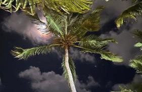 Casa Primavera aluguel temporada - Foto 35