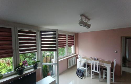 Retro Apartament blisko Parku - Photo 10