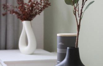 NEC/Airport/HS2/Resorts World - Foto 11