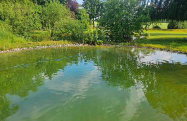 Natur pur - Foto 25