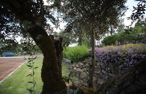 Apartamentos Rurais - Casas do Lagar - Foto 9