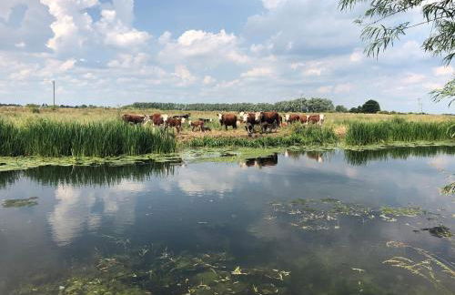 Elm Cottage at Gravel Farm - Photo 18