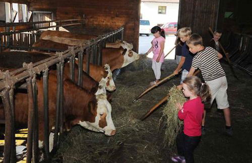 Exenbacher Hof Traumbauernhaus s´Haisl - Foto 24