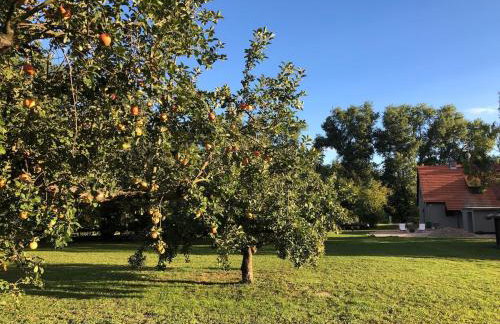 Auszeit Haus am See - Photo 29