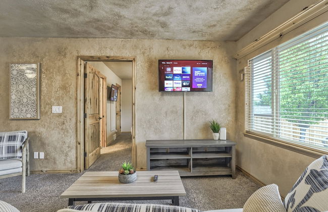 Little Bear - Foto 13