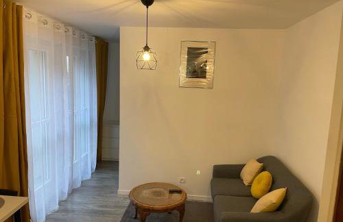 Épinal : superbe appartement en plein centre ville - Foto 17