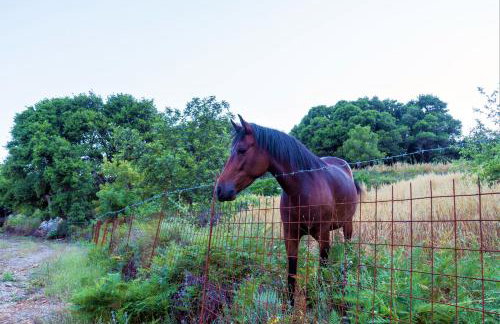 Villa Zeus - Foto 48