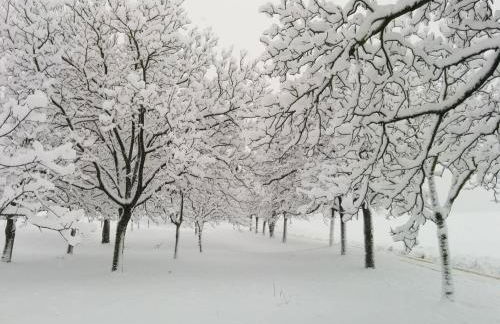 Chalet le Clos de l'Orme - Photo 15