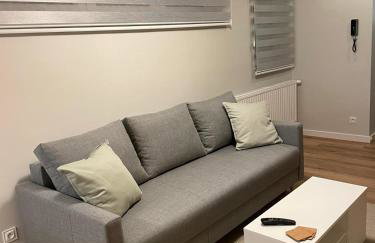 APARTAMENTY GUZIK - Foto 9