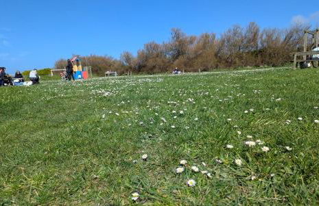 Villa Ty Mogué 4 étoiles Vue mer & SPA privatif, plage et Gr34 à pied - Photo 62