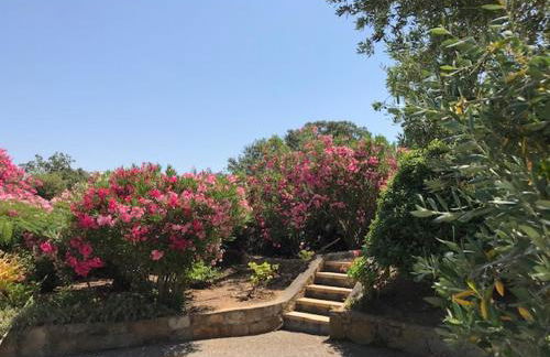 Residence Motel Corsicana - Foto 6