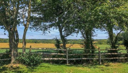 Oak Uk44264 - Photo 2, Garden