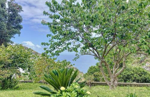 Quinta do Serrado II - Foto 57