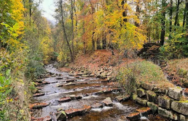 Classic Holiday Home in Harz near Braunlage Ski Area - Foto 21