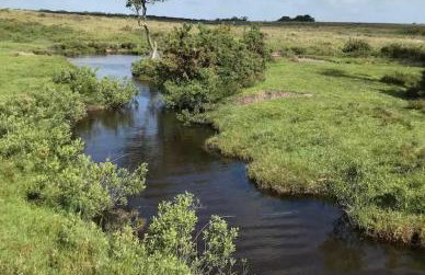 Spout House Studio - Photo 37