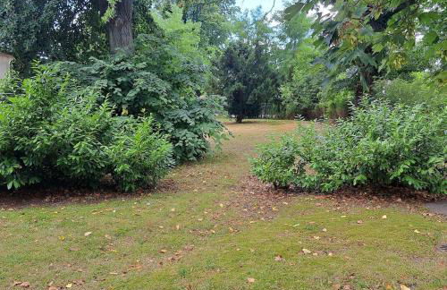 Exclusives Ferienhaus am Kulkwitzer See - Photo 14