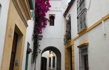 El 5 de la Hoguera - Foto 9