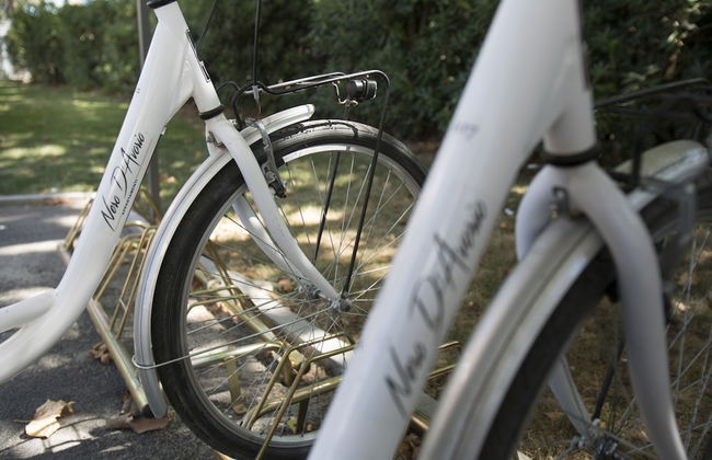 Nero D'Avorio Aparthotel & SPA - Foto 49