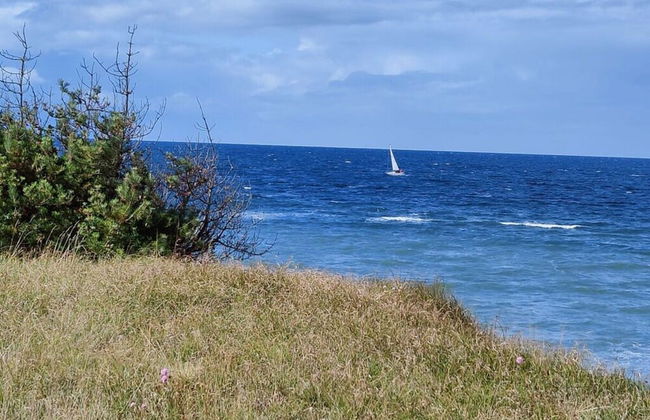 "sandpiper" on Rugen - Foto 22