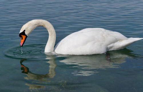 Solimago Dimora Storica - Foto 42