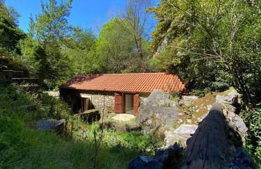 Moinho das fragas - Foto 17