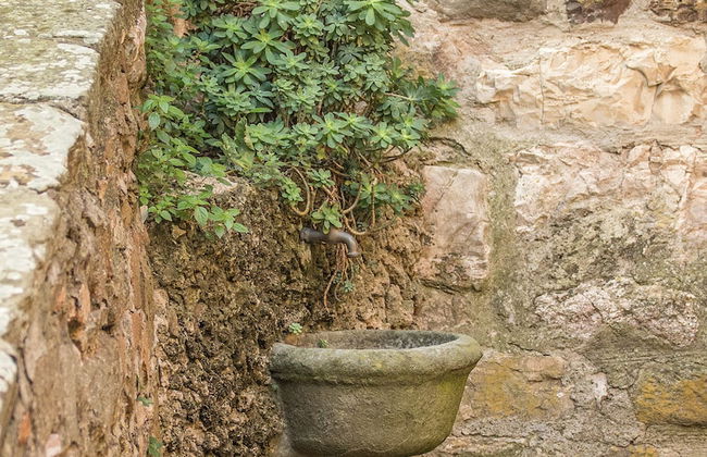 Castello di Mugnana - Photo 69