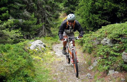 Haus Paradies Superior FEWO`S Loft, Terrasse, private Sauna, aktiv Card, Sankt Englmar - Foto 38