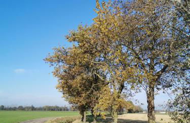 Heeser Hof - Urlaub im Grünen - Foto 15