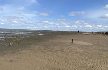 Appartement 1 mit Küche und neuem Bad, frisch saniert - Foto 6