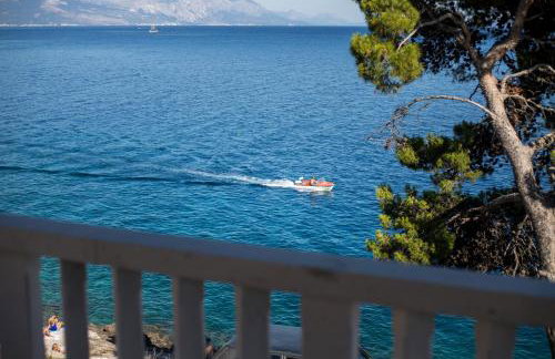 Mirni kutak - Photo 11