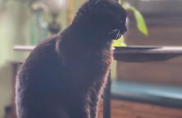 Pleine vue mer et plage - Foto 17