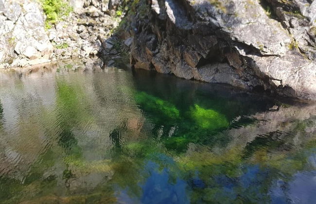 Elvestua House in Nature - Foto 79