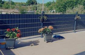 Apartman Istria Green - Foto 18