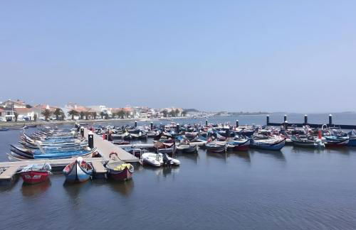 T2 Moliceiros Torreira vista Ria - Foto 30