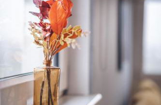 Franklin Place - Foto 14