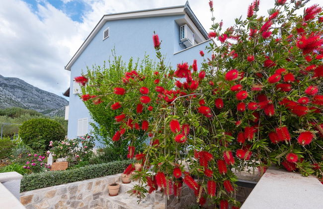 Apartmani Ivana - Foto 19