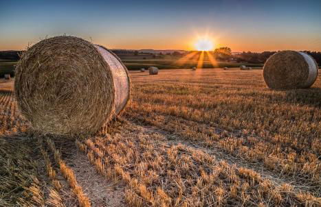 GADEN Apartment - Hotel - Photo 24