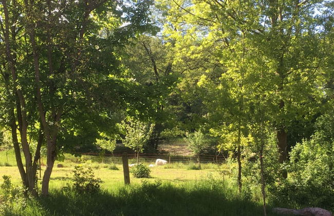 Holiday Home Lehrdetal - Foto 13