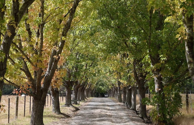 StayAU 1BR Rustic Picturesque Cottage - Foto 29