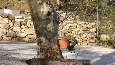 Casa do Tapadinho - Photo 3