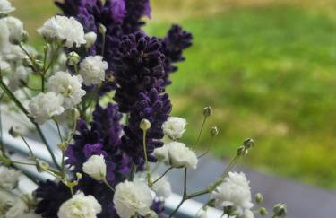 Czarna Perła - Foto 29