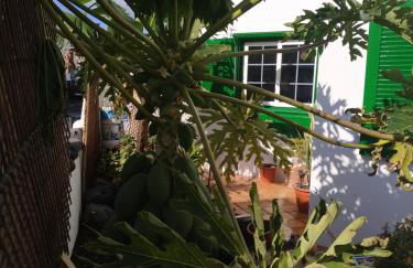 Caracola azul - Foto 9