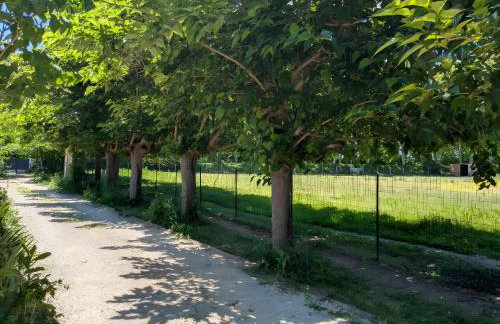 Ferme Pédagogique Bordeneuve - Foto 66